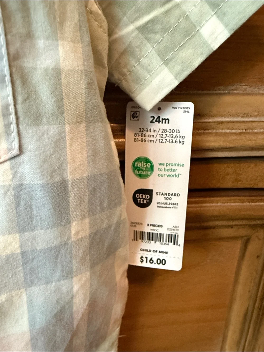 Carter's Pastel Plaid Button-Down Shirt with Light Blue Bow and Shorts